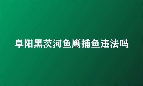 阜阳黑茨河鱼鹰捕鱼违法吗