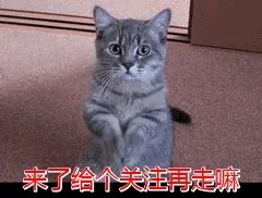欧阳靖为什么要参加中国有嘻哈
