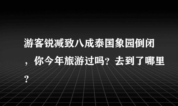 游客锐减致八成泰国象园倒闭,你今年旅游过吗?去到了哪里?