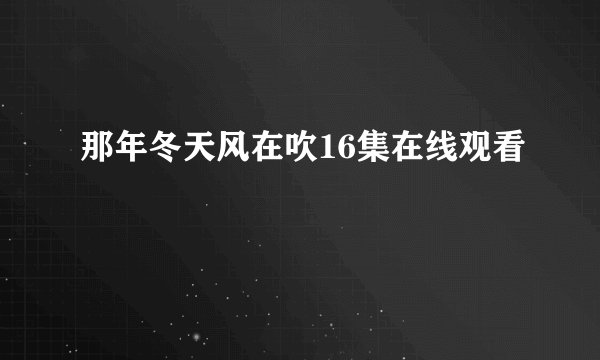 那年冬天风在吹16集在线观看