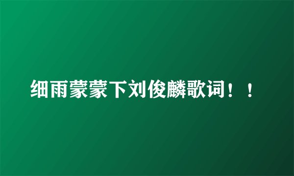 细雨蒙蒙下刘俊麟歌词！！