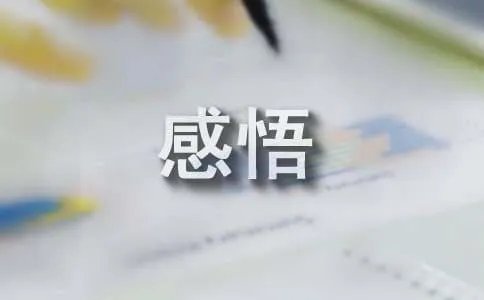 人生感悟短句