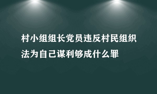 村小组组长党员违反村民组织法为自己谋利够成什么罪