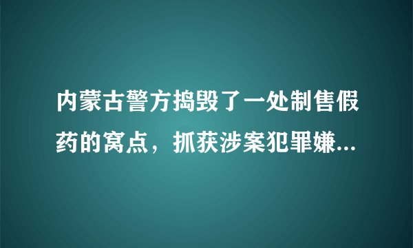 内蒙古警方捣毁了一处制售假药的窝点，抓获涉案犯罪嫌疑人两名，查获假药17万瓶, 你怎么看？