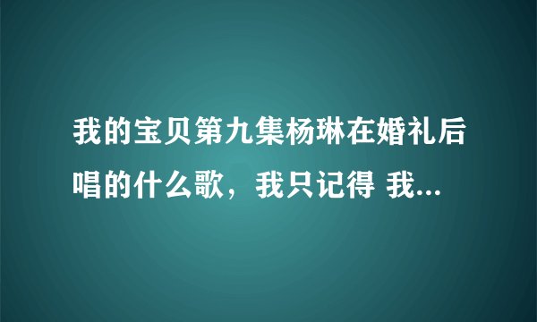 我的宝贝第九集杨琳在婚礼后唱的什么歌，我只记得 我挥动着翅膀