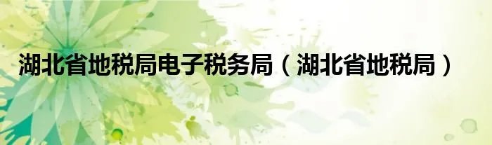 湖北省地税局电子税务局（湖北省地税局）