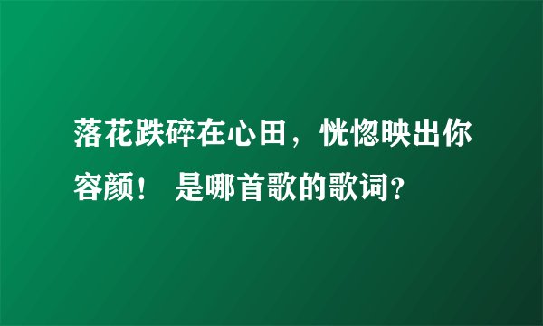 落花跌碎在心田，恍惚映出你容颜！ 是哪首歌的歌词？