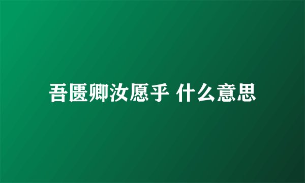 吾匮卿汝愿乎 什么意思