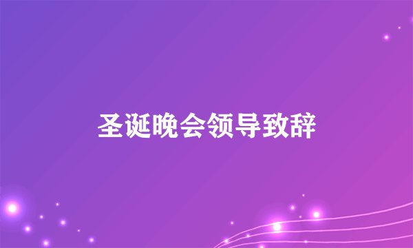 圣诞晚会领导致辞