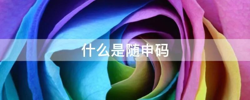 什么是随申码