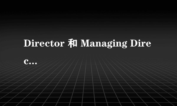 Director 和 Managing Director 的区别