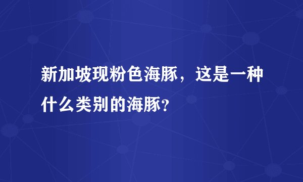 新加坡现粉色海豚，这是一种什么类别的海豚？