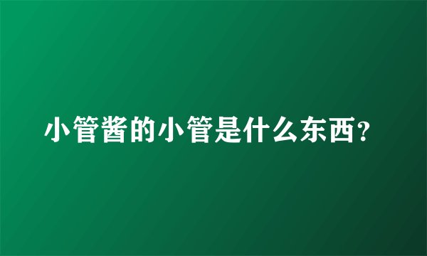 小管酱的小管是什么东西？