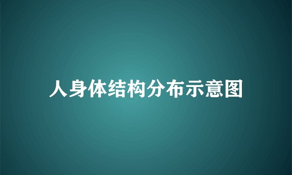 人身体结构分布示意图