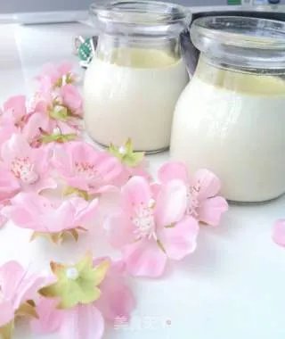 抹茶布丁