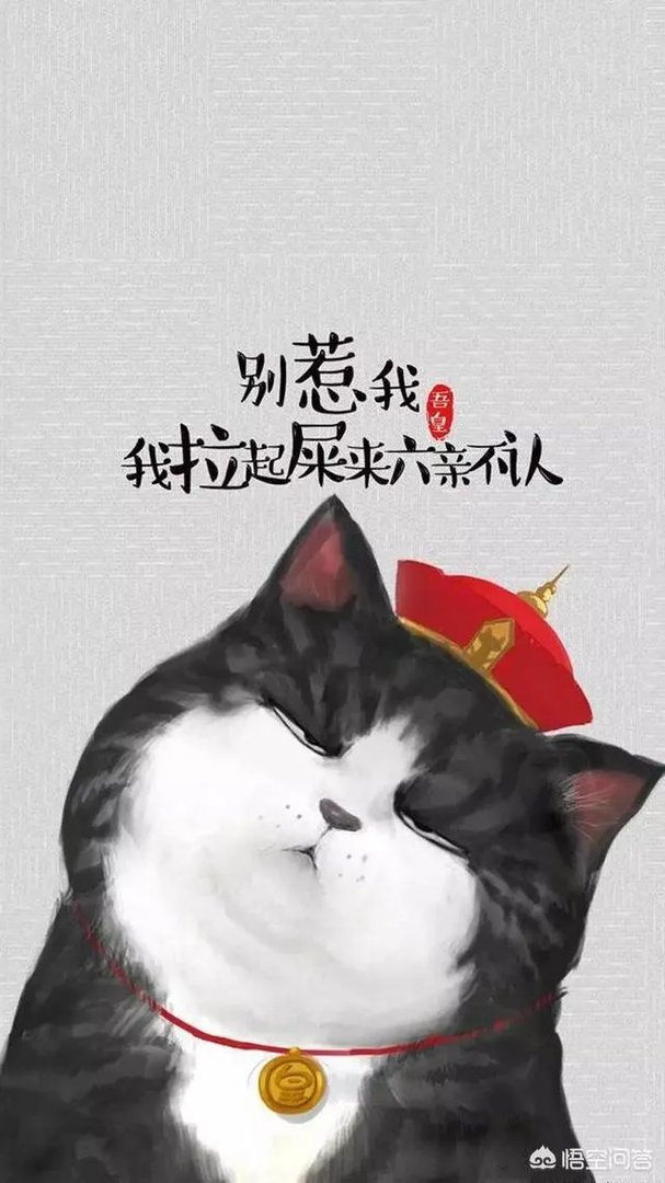有哪些搞笑的手机壁纸?