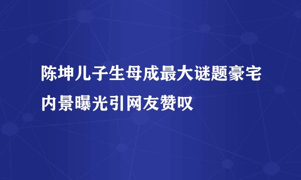 陈坤儿子生母成最大谜题豪宅内景曝光引网友赞叹