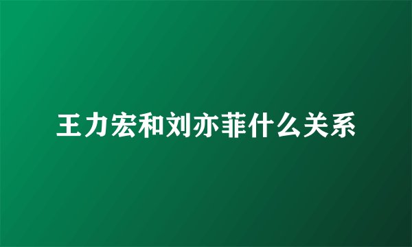 王力宏和刘亦菲什么关系