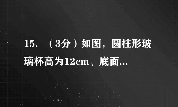 15.(3分)如图,圆柱形玻璃杯高为12cm、底面周长为18cm,在杯内离杯底4cm的点C处有一滴蜂蜜,此时一只蚂蚁正好在杯外壁,离杯上沿4cm与蜂蜜相对的点A处,则蚂蚁到达蜂蜜的最短距离为 15 cm.