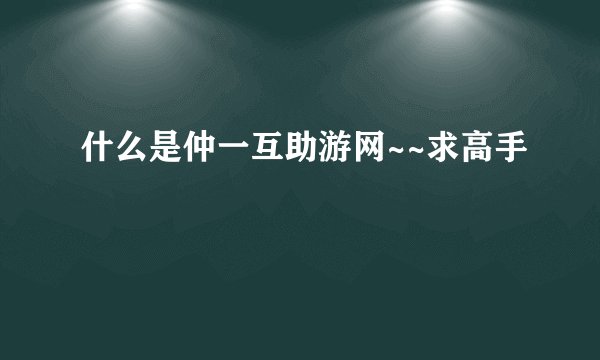 什么是仲一互助游网~~求高手