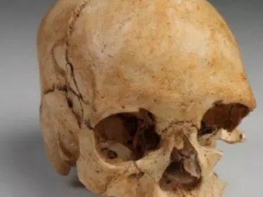 16000年前的人头骨化石是在哪里发现的?如何发现的?