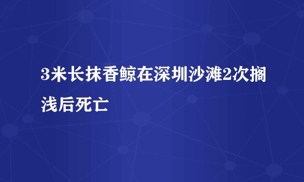 3米长抹香鲸在深圳沙滩2次搁浅后死亡