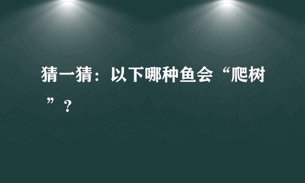 猜一猜：以下哪种鱼会“爬树 ”？