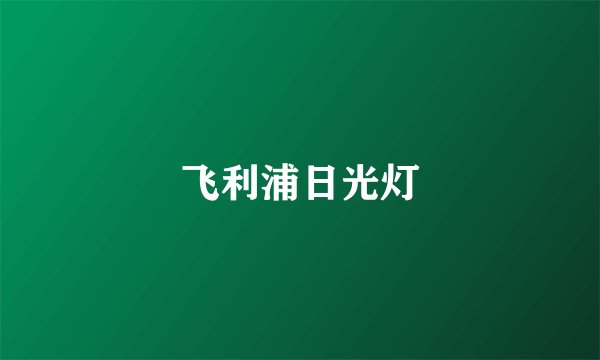 飞利浦日光灯
