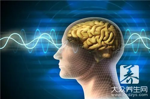 吃什么补脑提神呢