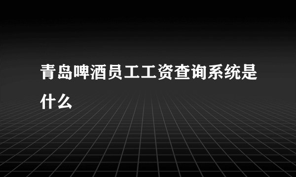 青岛啤酒员工工资查询系统是什么