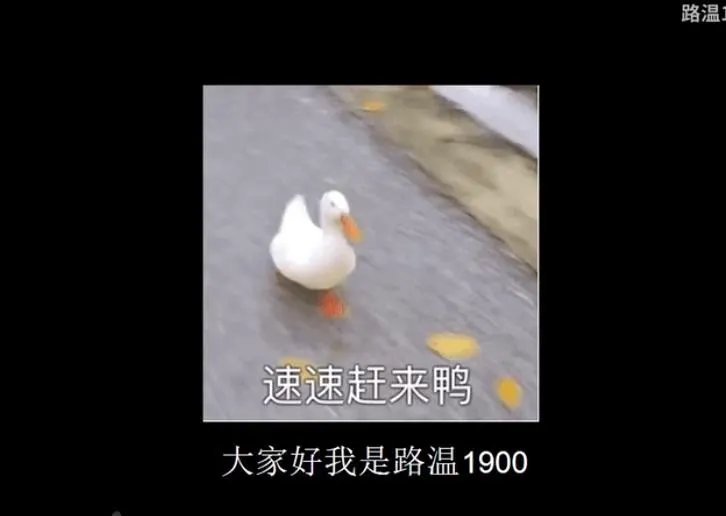 路温1900鸭子是什么梗