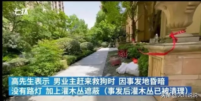 浙江女子喊老公下污水井救宠物狗致其身亡,年仅30岁,怎么看?