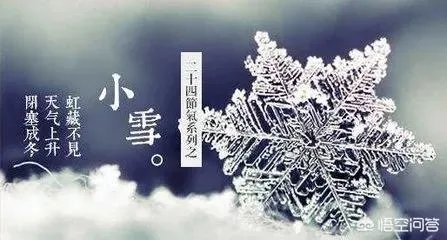 小雪节气适合吃什么?
