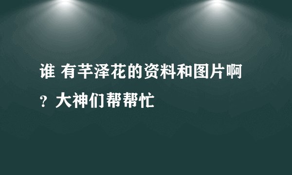 谁 有芊泽花的资料和图片啊？大神们帮帮忙