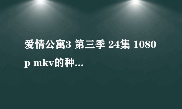 爱情公寓3 第三季 24集 1080p mkv的种子或者链接，一定要1080p的～