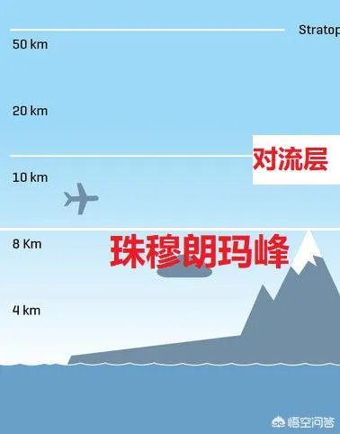 世界上飞的最高、飞的最远或飞的最快的鸟有哪些?