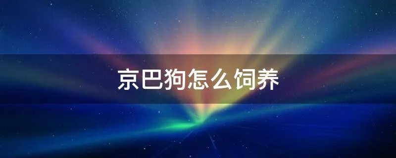京巴狗怎么饲养