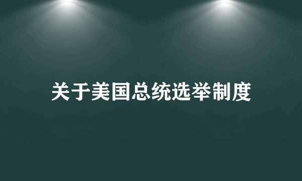 关于美国总统选举制度