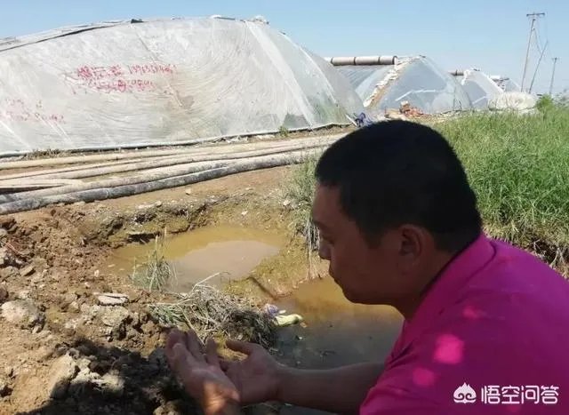 强台风“立奇马”要来了,温室大棚该提前做哪些防御措施,准备什么?