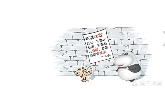 有哪些搞笑的手机壁纸?