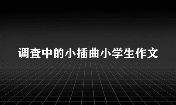 调查中的小插曲小学生作文