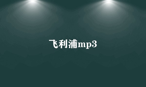 飞利浦mp3