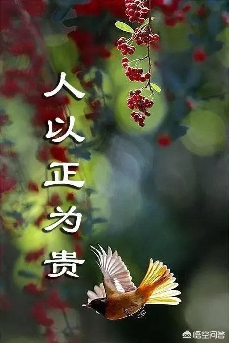 八面玲珑，男盗女娼
