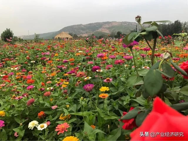 河北人怎么看省会石家庄!他们说省会是北京天津!你怎么看?