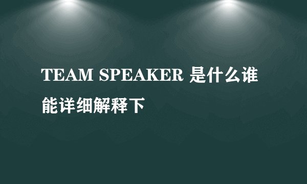 TEAM SPEAKER 是什么谁能详细解释下