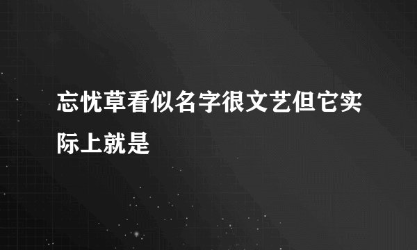 忘忧草看似名字很文艺但它实际上就是