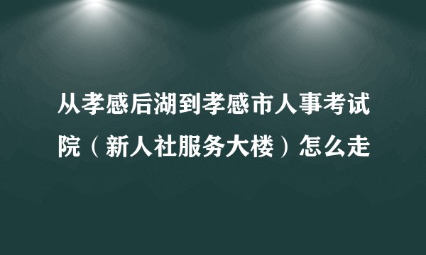 从孝感后湖到孝感市人事考试院（新人社服务大楼）怎么走