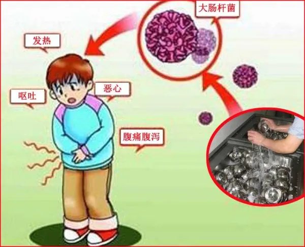 如果使用大肠菌群超标的餐具,会引起哪些疾病?