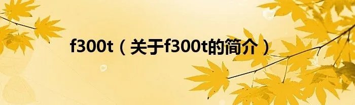 f300t（关于f300t的简介）