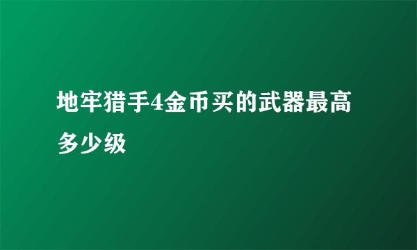 地牢猎手4金币买的武器最高多少级